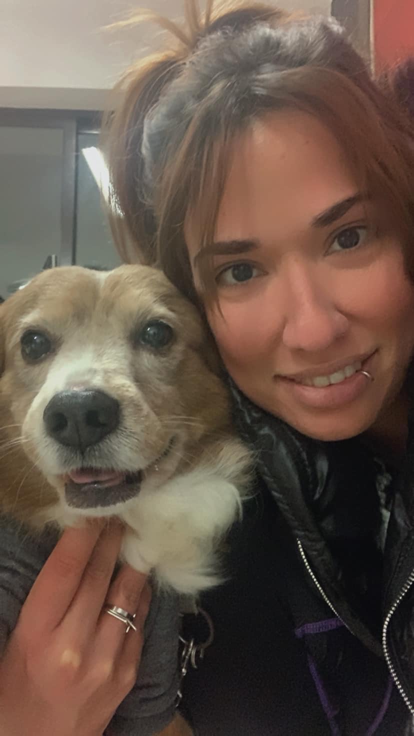 WorldStrayAnimalsDay